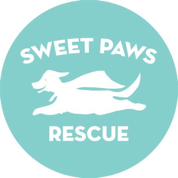 Sweet Paws Rescue: A Lifeline for Furry Friends in Need