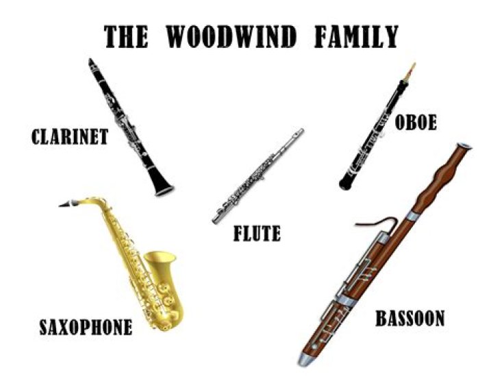 Thin woodwind instrument