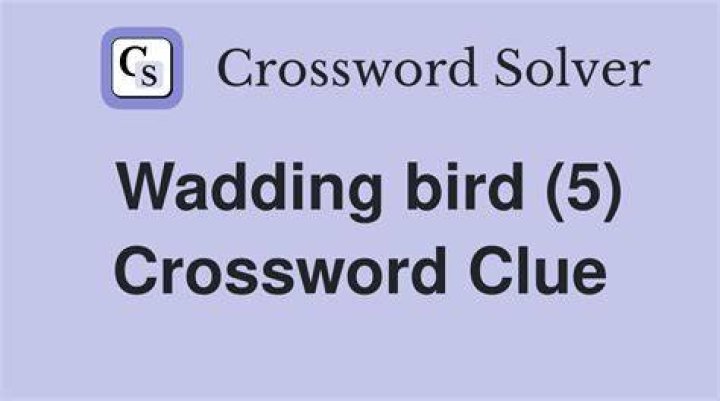 Thomas Joseph Pick from the menu 5 letters Crossword Clue Answers