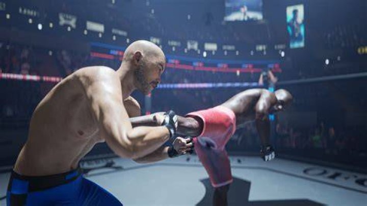Ultimate fighting sport: Abbr.