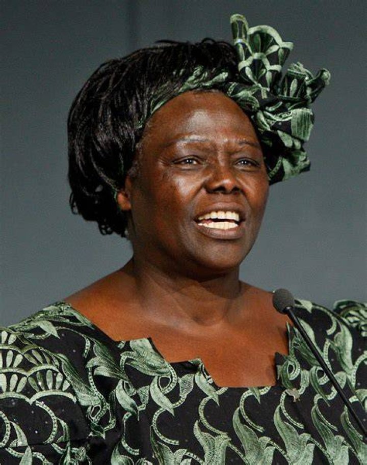 USA Today Like Wangari Maathai, ethnically Crossword Clue - News