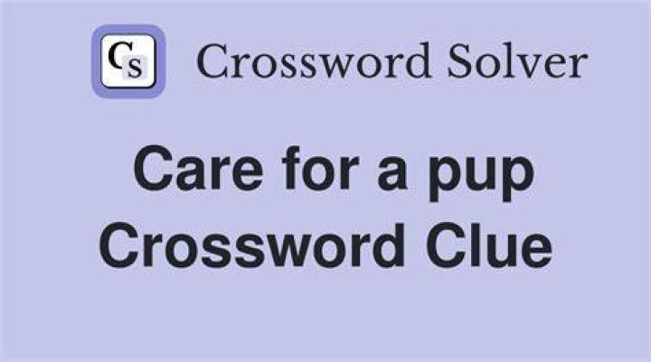 USA Today Reward for a good pup Crossword Clue Answer
