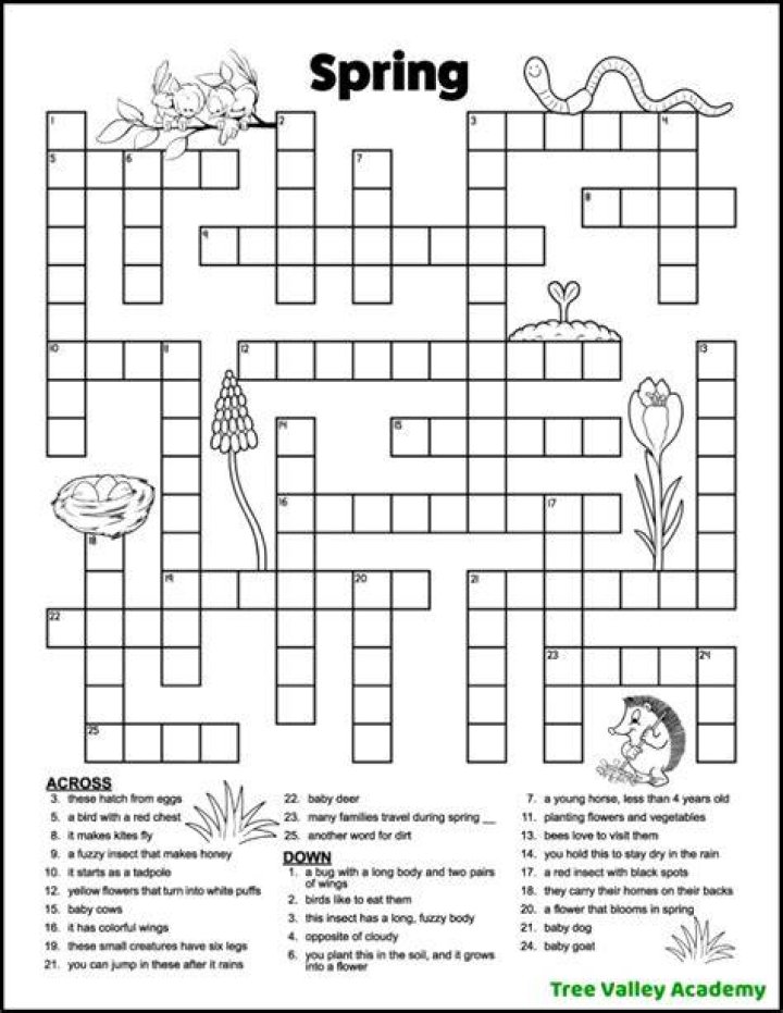Weapon with a spring Crossword Clue NYT - News