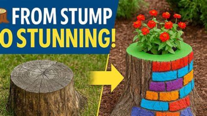 What a stump once was