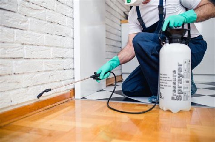 What an exterminator puts around a house during fumigation