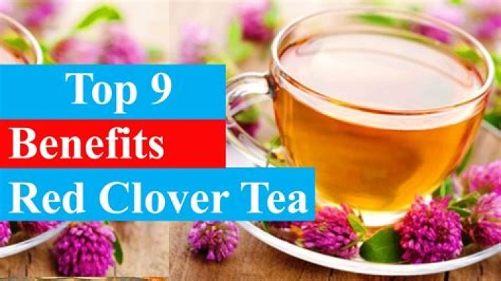 What are the benefits of red clover?