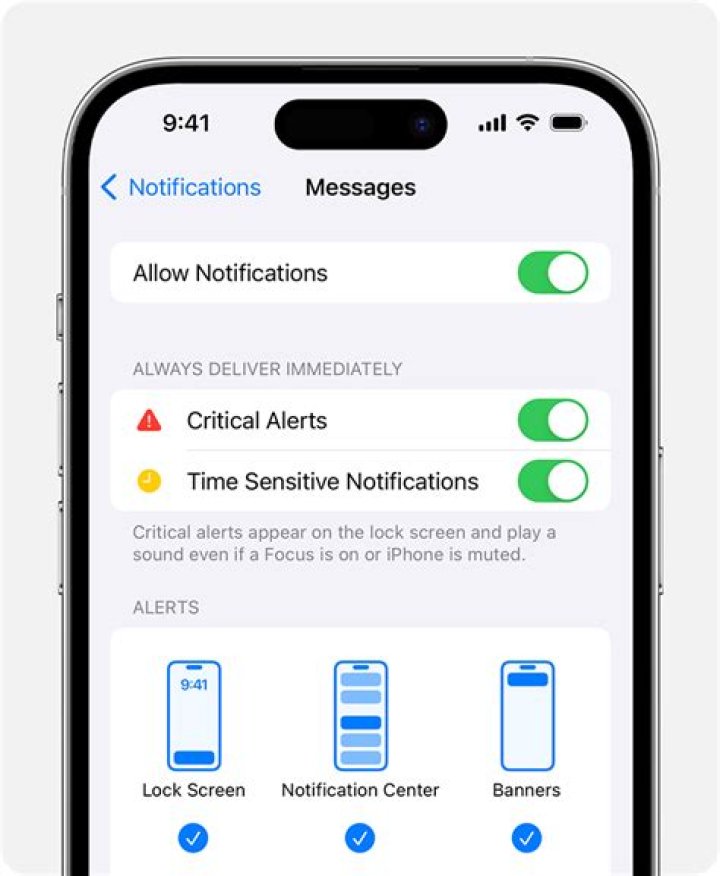 What are the notifications on Owlet?