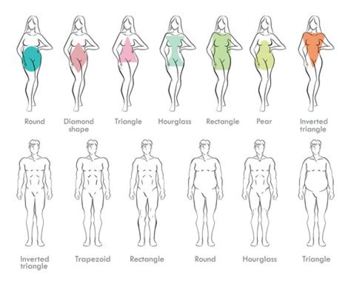 What body type do you need to be a model?