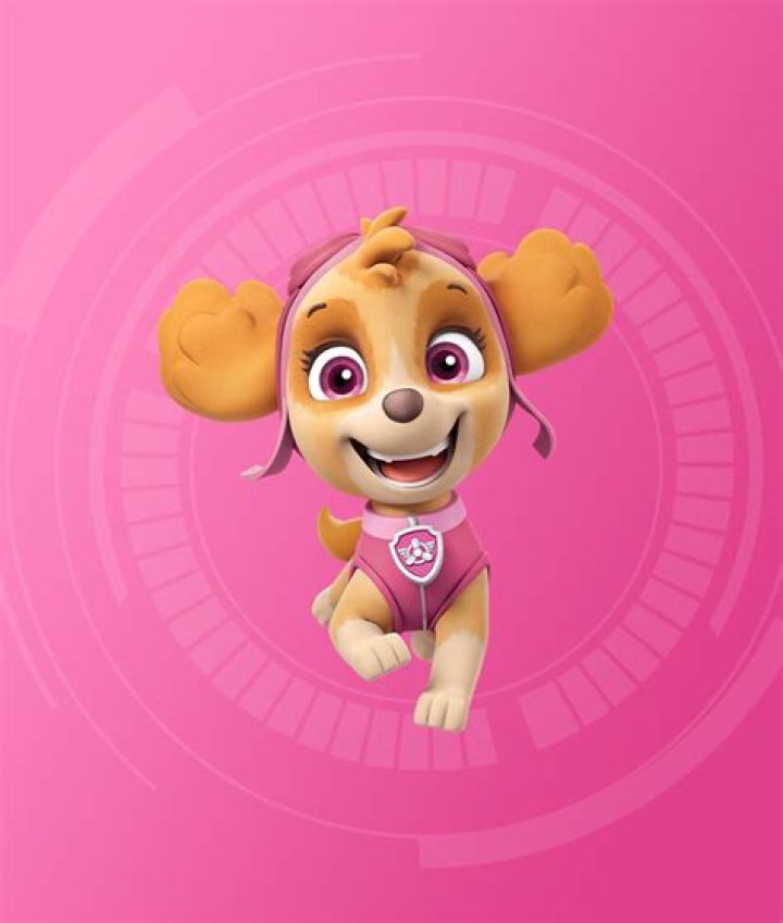 What breed is Skye from PAW Patrol?