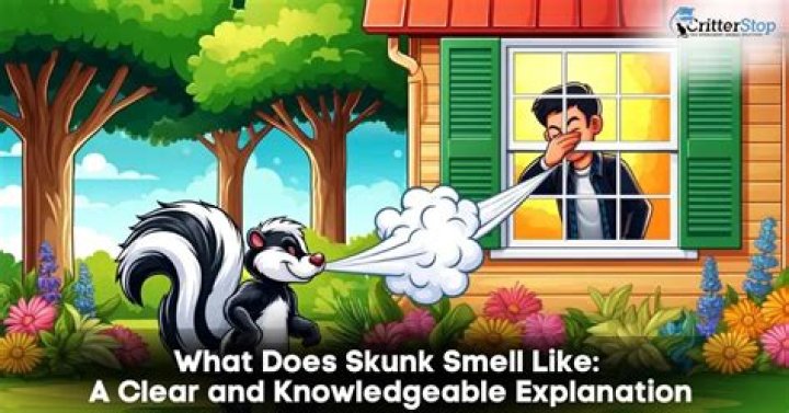 What did exclamation smell like?