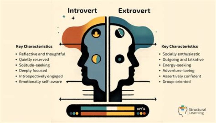 What do introverts think about?