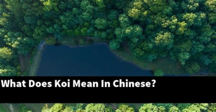 What does koi mean in Chinese?