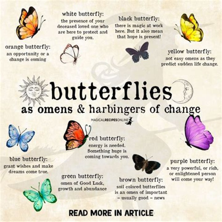 What does the color of butterflies mean?