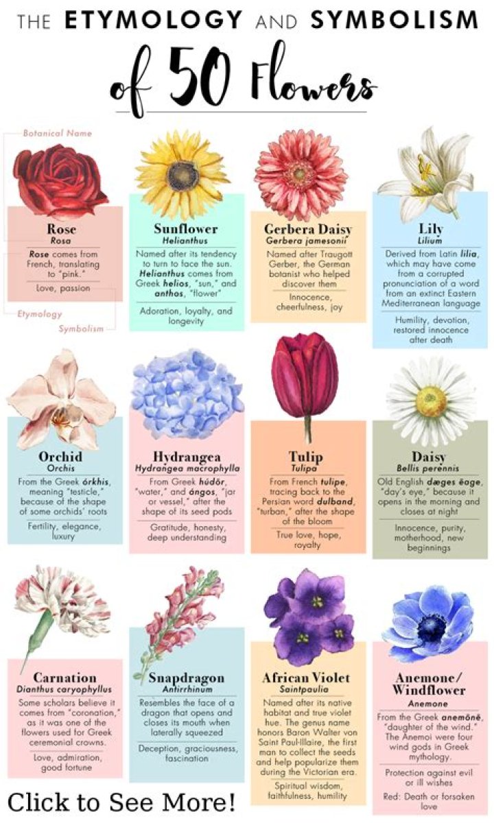 What flower means power?