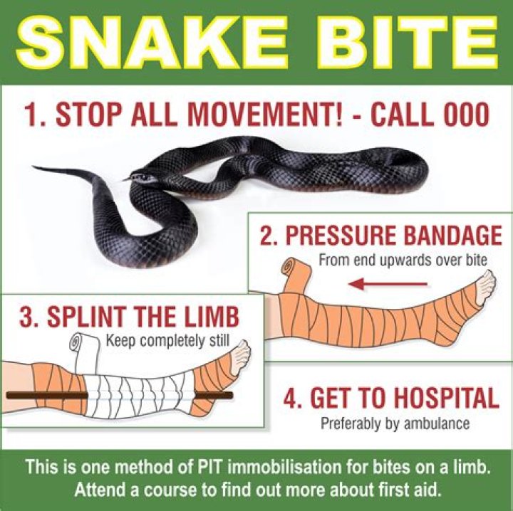 What happens if a snake gets too hot?