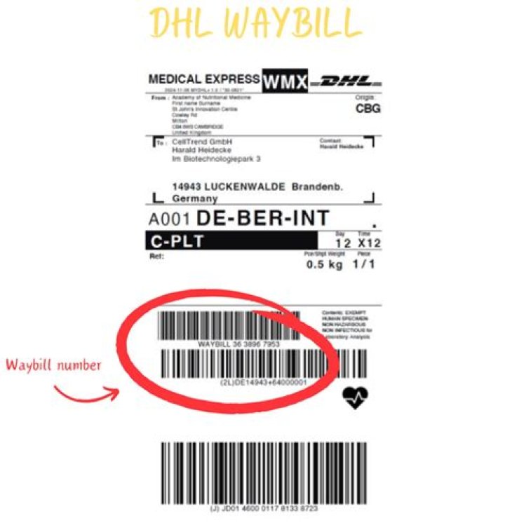 What happens if DHL is late?