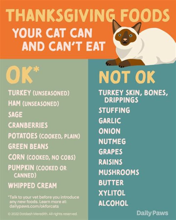 What is good to eat when you have gas pains?