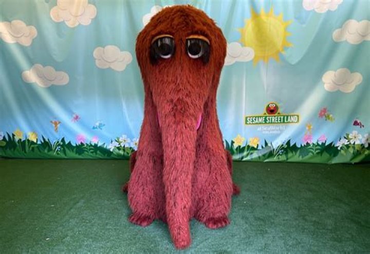 What is Mr. Snuffleupagus first name?