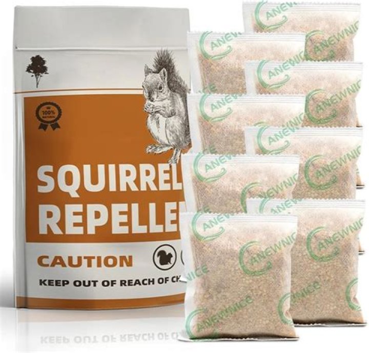 What is the best squirrel repellent to use?