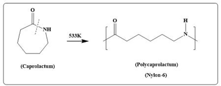 What is the monomer of nylon?