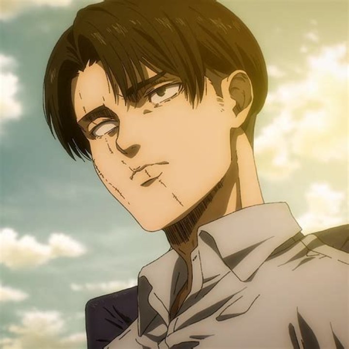 What makes Levi Ackerman attractive?