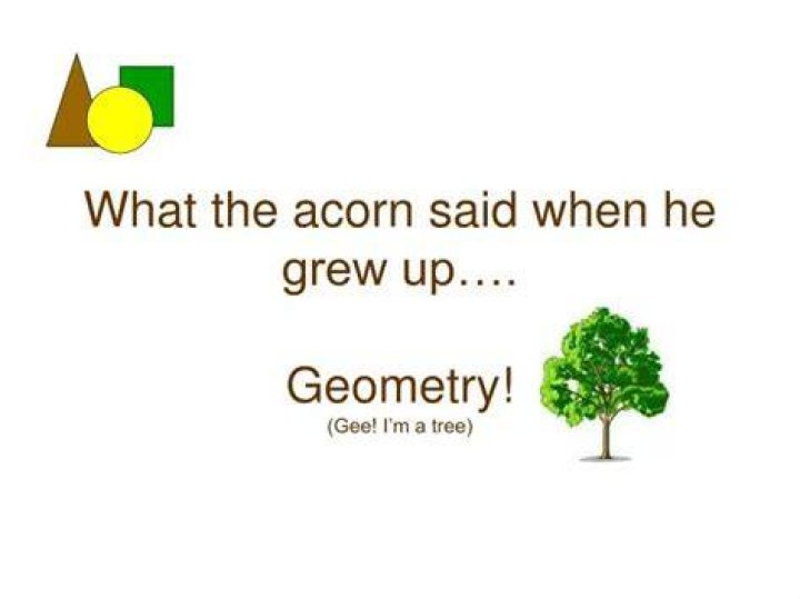 What the acorn said when it grew up, in a classic math joke Crossword Clue NYT - News