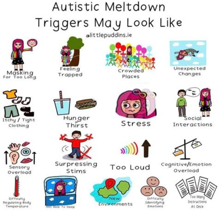 What triggers autism?