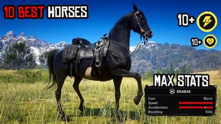 Whats the best horse in Skyrim?