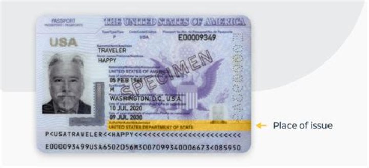When did us start issuing visa?