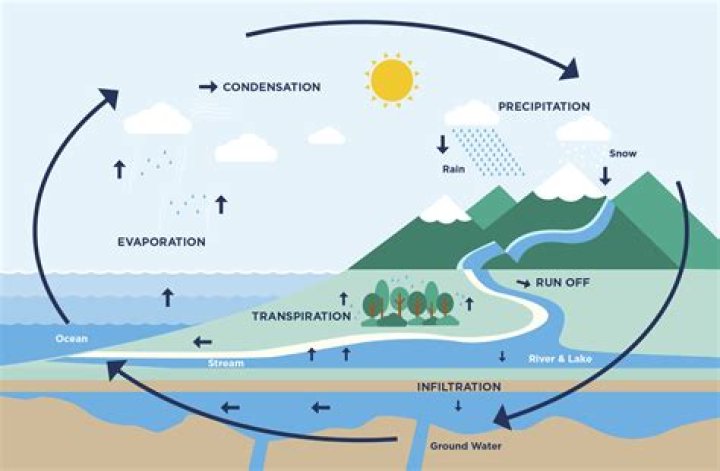 When was the water cycle founded?