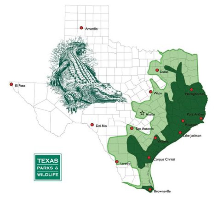 Where in Texas are there no tornadoes?