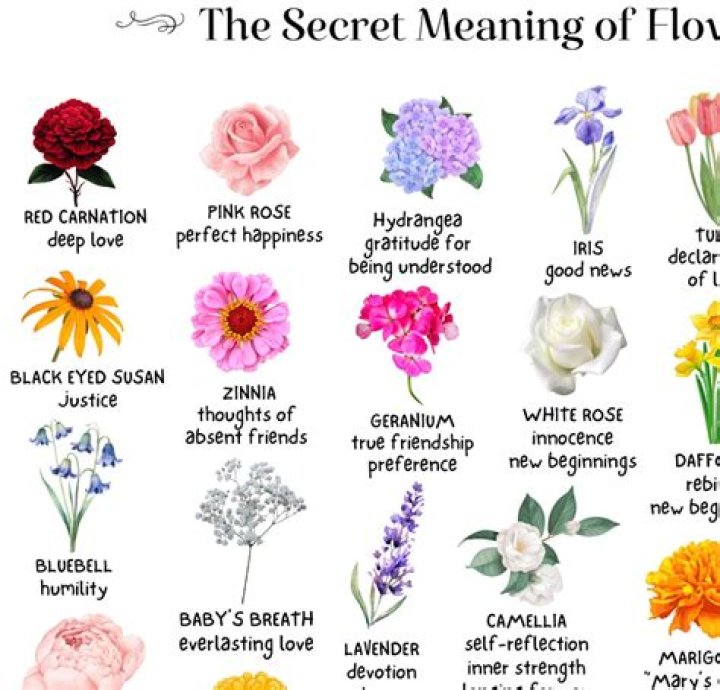Which flower is liked by Krishna?