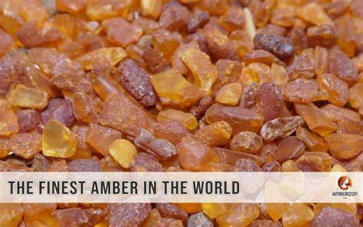 Which tree does amber come from?