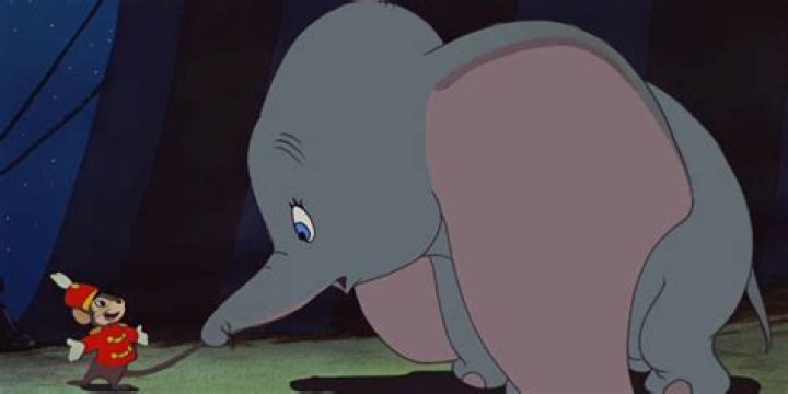 Who is Dumbo's dad?
