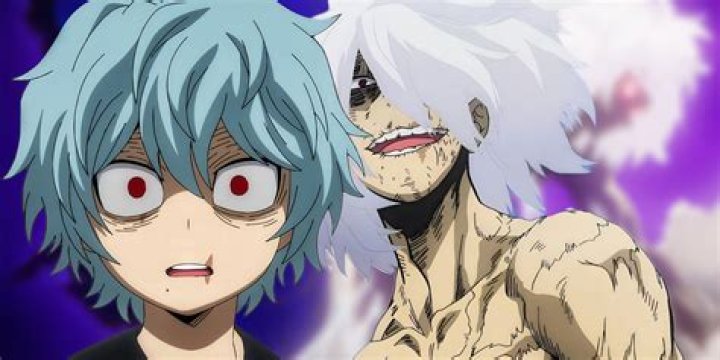 Who was Shigaraki's sister?