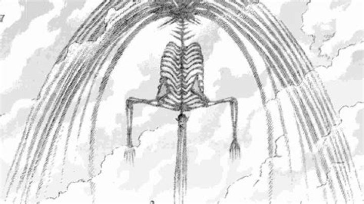 Why are Ackermans not affected by the founding Titan?