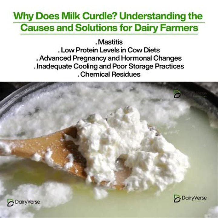 Why is my milk curdling in the fridge?