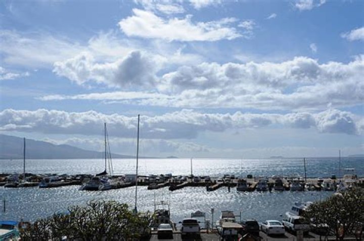 The Windiest Harbor in the World: Exploring the Extreme Weather Phenomenon