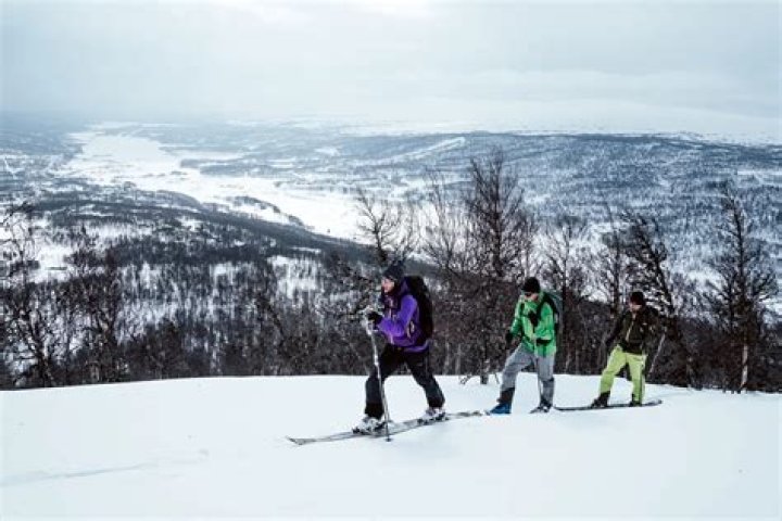 You could do this downhill or cross-country provided there's snow