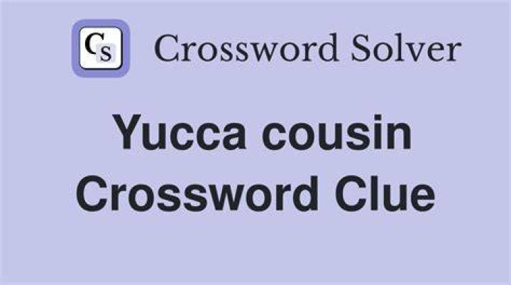 Yucca cousin Crossword Clue Newsday Crossword Answer - News